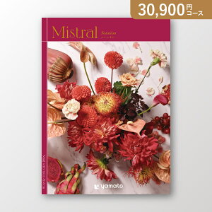 ミストラル SOUNION(スーニオン)【30900円コース】カタログギフト【送料無料】【出産祝い・内祝い】【メッセージカード1円】
