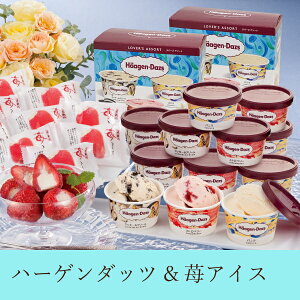 ハーゲンダッツ&苺アイス(お中元 夏ギフト 残暑見舞い ギフト プレゼント お菓子 スイーツ デザート 5000円 アイス クリーム アイス詰め合わせ ギフト プレゼント 贈り物 お祝い 内祝い 誕生