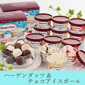 【送料無料】ハーゲンダッツ＆チョコアイスボール(敬老の日 アイス スイーツ2024_アイス ヤバケイ 洋菓子 スイーツ デザート アイスギフト チョコアイス ハーゲンダッツ アイスクリーム プレゼント お土産 お祝い パーティー ご褒美 母の日 父の日 お中元 )