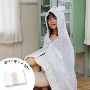 Chouette VGbgiu[jt[htoX^I(^I  oX^I oX|` a ^I 1 2 Ԃ n[tK[[)