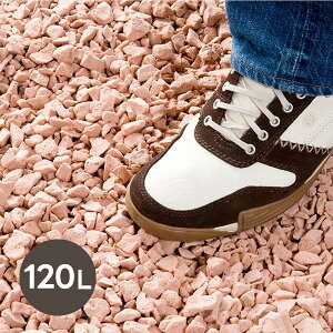 yz悯hƂ̉W uE 120L(G G pi  G΍ hƑ΍ Mtg v[g 蕨 j j  oY Vz z V  lC)