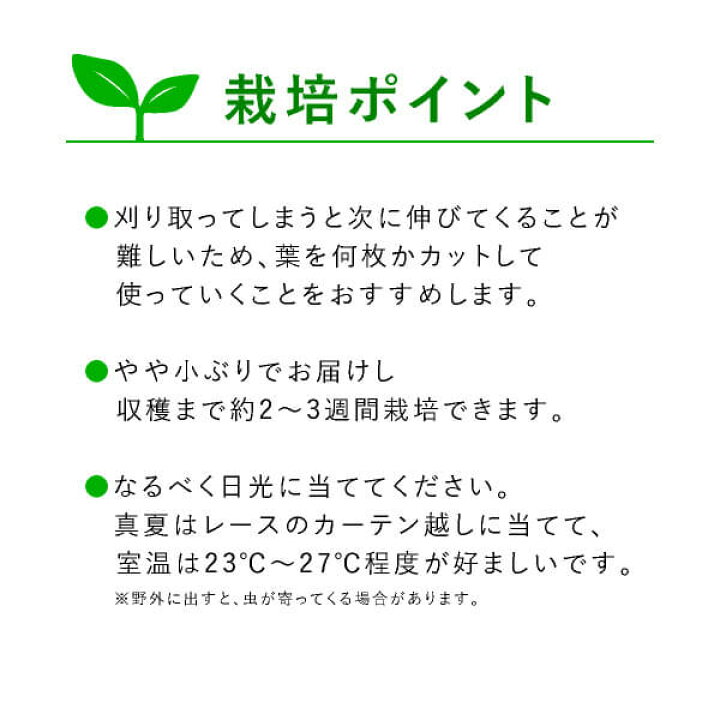 楽天市場 送料無料 テーブル菜園 クレソン 栄養剤1本 Bebery ベベリー 楽天市場店