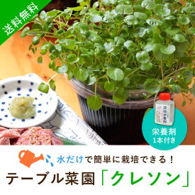 【送料無料】テーブル菜園「クレソン」+栄養剤1本