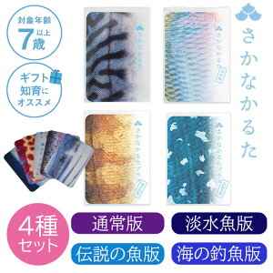 y1700~OFFN[|zyK̔Xzt Ȃ邽 ʏ W `̋ C̒ދ 4Zbg Ȃ邽vX 邽 CŗVׂ   낱 C h 