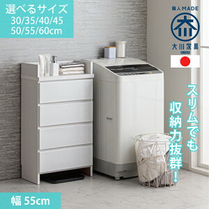 Gy | 55cm s30cm ȂV h[`FXg ^ Y y h[[ `FXg ̏dv Eߏ̂锒Ƌ [ I ʏ  zCg bN o T