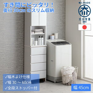 nslX | 45cm s30cm  h[`FXg @[ y Y i h[[ Tj^[bN h[{bNX Eߏ [ ^I ʏ [ Eߏ X 