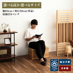  | 60cm×s30cm×40cm x` x` ؐ [  y ᔠ { x` [x` [ փx` a_ Y Ƌ Xc[ ֎[ RpNg 