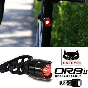 �L���b�g�A�C ���C�g SL-LD160NRC-R ���A�p �I�[�u2 ���`���[�W���u ��ORB2 RECHARGEABLE ���]�� �Z�[�t�e�B���C�g ���C�g TYPE�|C USB�[�d