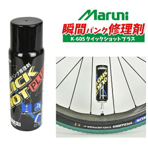 }jH K-605 NCbNVbgvX oup } uԃpNC e MARUNI ] pNC VNNXAOx[h