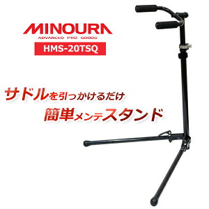 ~mE HMS-20TSQ [NX^h ]  tbN eiXX^h