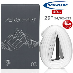 自転車 チューブ シュワルベ エアロザン 29” 54/62-622 仏式 40mm 19E-SV TPUチューブ SCHWALBE AEROTHAN 超軽量チューブ MTB XC トレイル エンデューロ