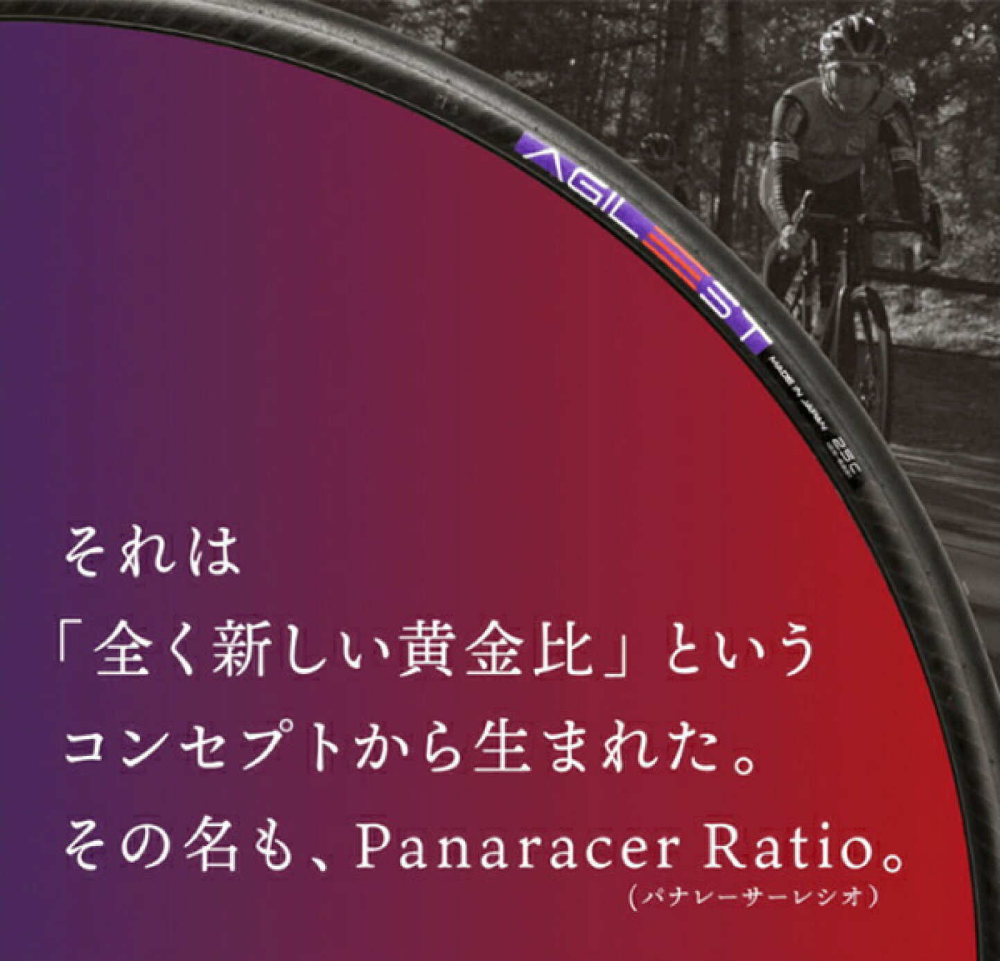 楽天市場 | Be.BIKE - パナレーサー「アジリスト」タイヤの選び方/違い