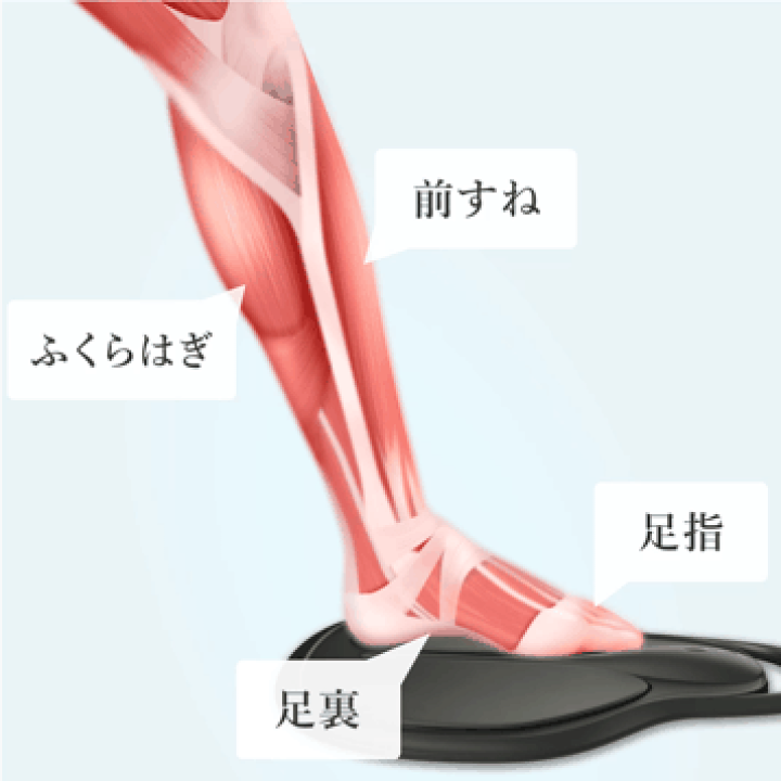 楽天市場】【GW期間中:35800円=>27650円】EMS ヒップ 楽天市場】【GW期間中:35800円=>27650円】EMS ヒップ