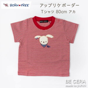 y2_ȏőN[|z BORN FREE {t[ AbvP {[_[TVc 80cm AJ bh xr[pi oYj  킢 { ̎q j̎q Ԃ v`Mtg