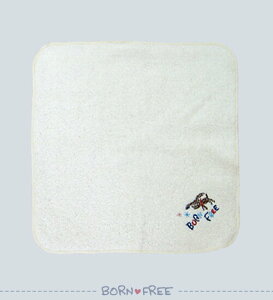 yő500~offN[|z BORN FREE {t[ v`^I xr[pi oYj  킢 { ̎q j̎q Ԃ v`Mtg