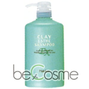 b-ex NCGXe EX Vv[ J[gbW 500ml