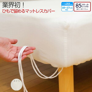 fC[RNV }bgXJo[ Ђ߃^Cv yVOz܂́y85X[VOiZ~VOjzLi {bNXV[c