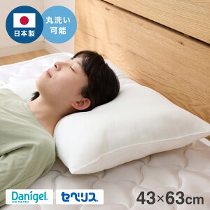 EHbVu 43×63cm {  _jQ ZxX TORAY Ȏgp R hL ۉ y  e͐ zedl  񂱂 Y  }N ܂ 􂦂 k[h k[hy