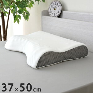  ̎t߂ _Ŏx閍 37×50cm   ᔽE^tH[ ̈U w tBbg ň  ܂ 搶ďC T|[g Jo[􂦂(s)y