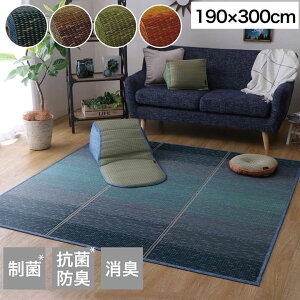 O 190×300cm ѐ Rۍ KOBA-GUARD  RۖhL ~ sDz   Of[V(s)yz