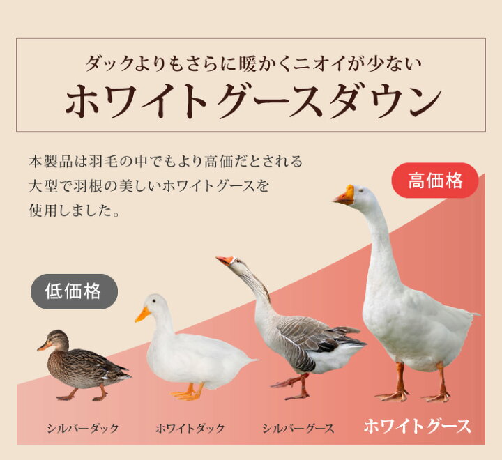 楽天市場】日本製 羽毛ふとん クイーン 1.8kg 最高クラスプレミアム 