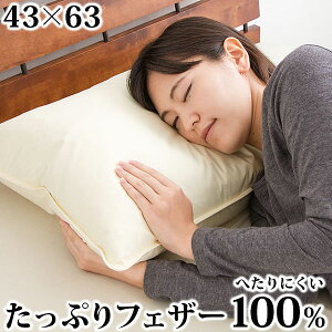 tFU[s[ 43×63cm zedlH Hs[ s[  H H tFU[ 100% tFU[yz