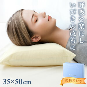 ギフト仕様 いびき軽減枕 パイプ 日本製 高級感 ギフト 洗える 高さ調節可能 パイプ枕 肩こり 首こり いびき改善 いびき イビキ 鼾 枕カバー 国産 プレゼント 父の日 母の日 敬老の日 お父さ