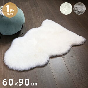 􂦂XvO 1CTCY Lv j[W[hY VR ~ NbV V[vXL  [g O AEghA k \ EHbVu Mtg v[g xr[ 