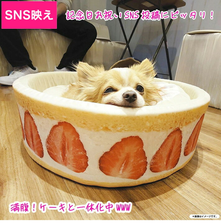 楽天市場 ペットベッド ペットソファ ケーキ型 スイーツ おもしろ 犬 猫 小動物 ペット インテリア かわいい おしゃれ ハウス ペット クッション ペット用品 Sns 映え バズる 誕生日 記念日 ギフト モチーフ 送料無料 リコメン堂寝具館