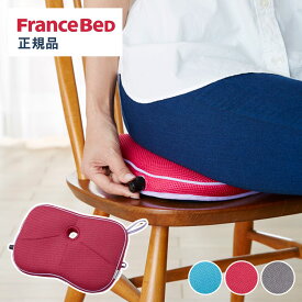 フランスベッド 空気調節式クッション SVクッションエアパッド FRANCE BED(代引不可)【送料無料】