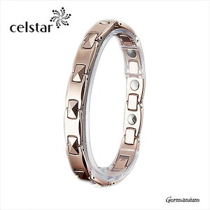 CAISSE ōi Q}jE uXbg ANZT[ Y fB[X v[gɂœK St Mtg ̓ ̓! 