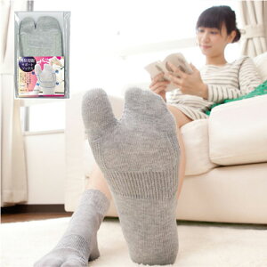 łOT|[g\bNX 1 Ow Odw Od C  T|[^[! 