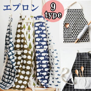 킢Gv [NGv ̓  Mtg V[g ԕ _ fUC tBh wVL 킢 s[X 