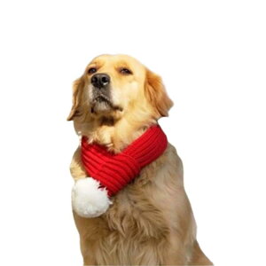 ^E^E^ }t[ ybgp NX}X T^ RX`[ RXv NX}Xߑ L  hbOEFA T^N[X T^ L 