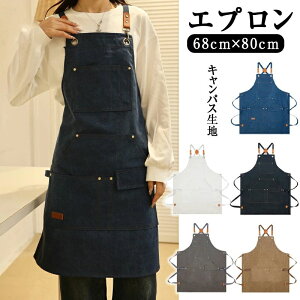 Gv  [NGv V[g fjGv JtFGv 傫TCY Ԃ邾 Ԃ  IV fB[X Y l k n NX  킢 