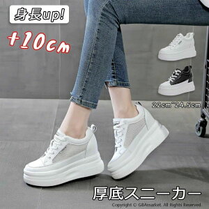 10cm gAbv C fB[X Xj[J[ C V[Y EH[LOV[Y _bhXj[J[ fB[XV[Y tďH~ ۉ ʋC wȂ  r q[Ab