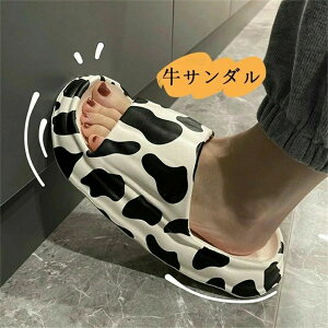 Y fB[X [V[Y  I[V[Y  t jp ~ R Xbp  Vv _炩y