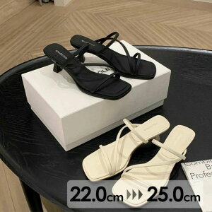 ؚXgbvT_T_ fB[X  xg C  l y ygAbv ɂ r  񎟉