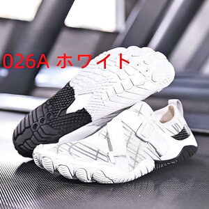 KV[Y fB[X Y y g[jO Wv[v XNbg p tBbglXV[Y jO}V TCNO AEghAΉ