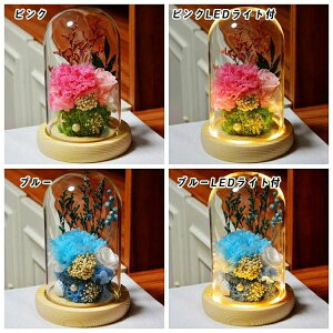 vU[uht[ J[l[V ỉ i ͂Ȃ Mtg v[g KX|bg hCt[ {bNXt LEDCgt Ǝ ̓ l l a j  