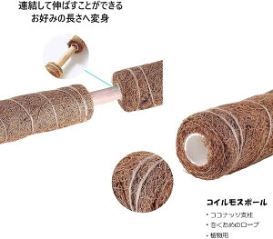 4{Zbg |x ϗtAXe x 30cm Ax |xp[c ϗtA RRibcx K[fjOpx AT|[g t[X^h Ԏx \  {ێ A