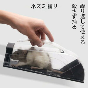 lY~߂ ݔ ˂݂Ƃ lY~߂ }EXgbv lY~JS lY~ߊl vX`bN E߂ JԂĎg@lY~߂ lY~߂ TCN\ 