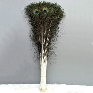 HAHA25 u[`&F ẺH O|[70-80cm p DIY WG[ HV[ tFU[V[   a p[eB[ o H|i wAANZT[ obO m[u