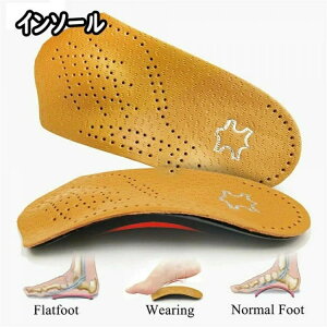 C\[ ČN ؖ tbgPA A[`T|[gpbh A[`␳ Ε T|[g j  JWAX|[c 蕨 Ă̓ jp