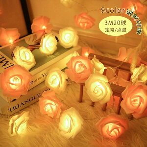 LEDCg  dr [Y 3M20d  LEDCg d d Ӎ nEB̑  RXv o Cg XgOCg p[eB[ NX}X   ͋C }`