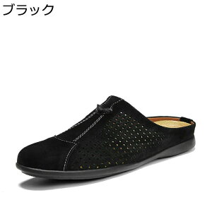 rWlX T_ Y {v bVH rWlXV[Y ƂȂvC [t@[T_ rWlXXbp ʋC y T{ JWA T_ d ʋ f Ȃ h