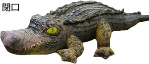 ʂ j  傫 D ӂӂ   A YQ 􂦂 j v[g  ǂ