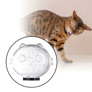 Lp ݂h~ VF[rOEEeɉKȃwbg