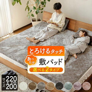 ~pbh t@~[220 VO{Z~_u 2pTCY t@~[TCY 傫TCY  }CNt@Co[ Ƃ낯^b`̕~pbh 220×200cm g g ~p H~p ~ 