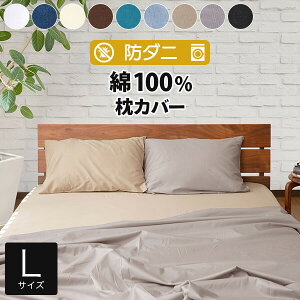 Jo[ 50×70 100% h_j RbgcC LTCY _jh~ _j悯 ԕ nEX_Xg AM[΍ 􂦂  100 Rbg  ܂Jo[ s[Jo[ s[P[X s